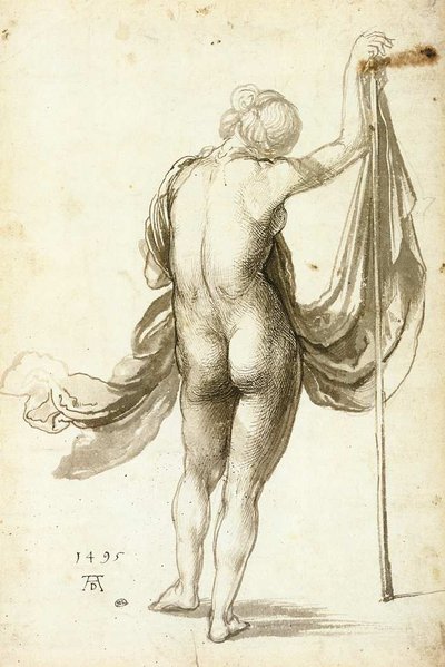 Female Nude from Behind by Albrecht Dürer